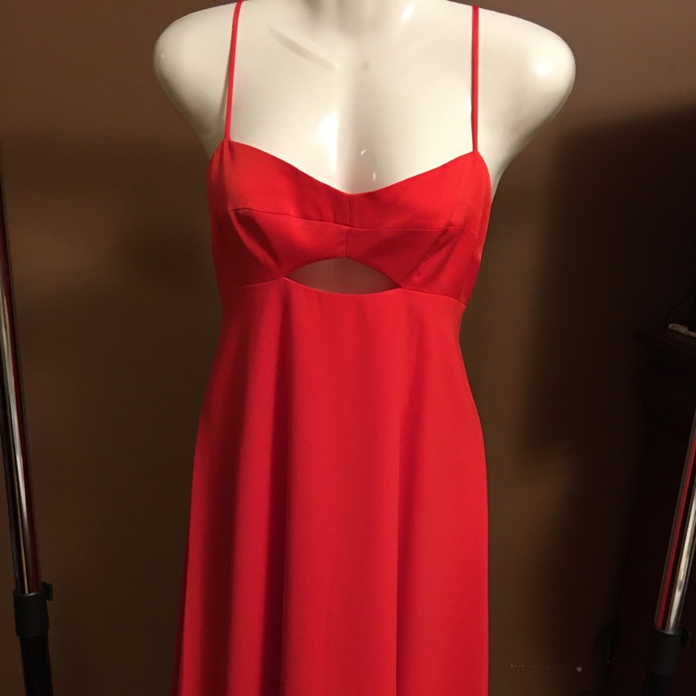 New! BCBG dress